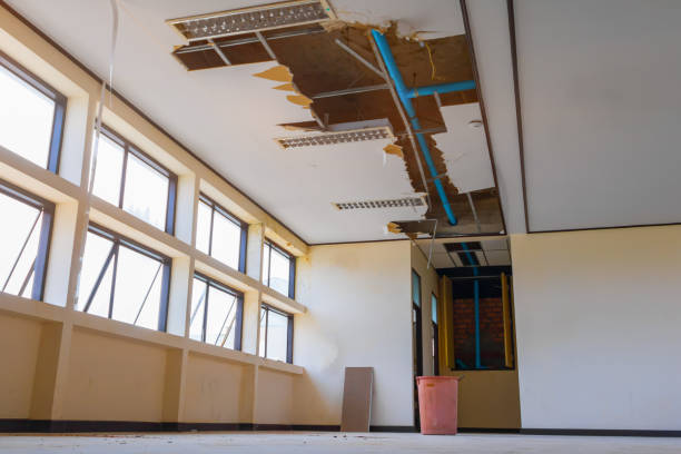 Best Professional water damage repair  in Cross City, FL