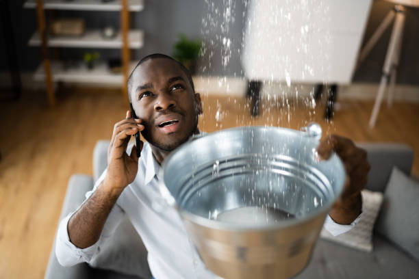 Best Flood restoration services  in Cross City, FL