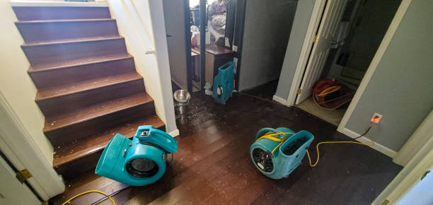 Best Flood damage cleanup  in Cross City, FL