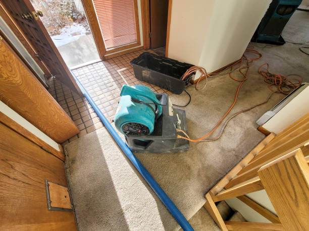 Best Sewage cleanup and water damage restoration  in Cross City, FL