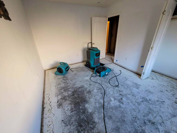 Best 24/7 water damage repair  in Cross City, FL