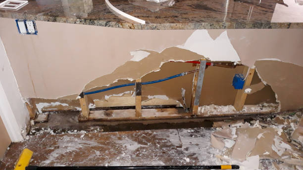 Best Water damage contractors near me  in Cross City, FL