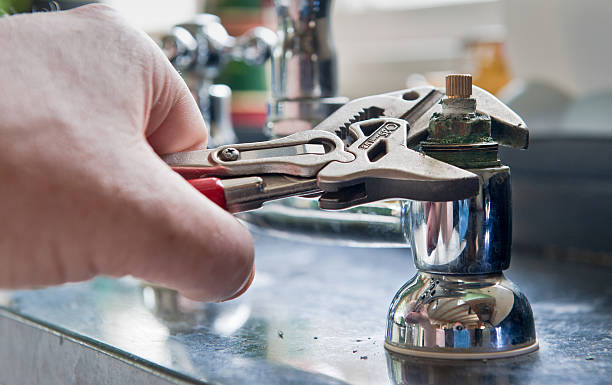 Best Local water damage restoration  in Cross City, FL