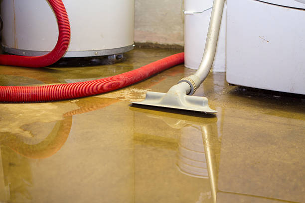 Best Mold removal after water damage  in Cross City, FL