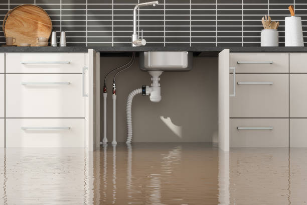 Best Water damage restoration company  in Cross City, FL