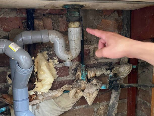 Best Residential water damage restoration  in Cross City, FL